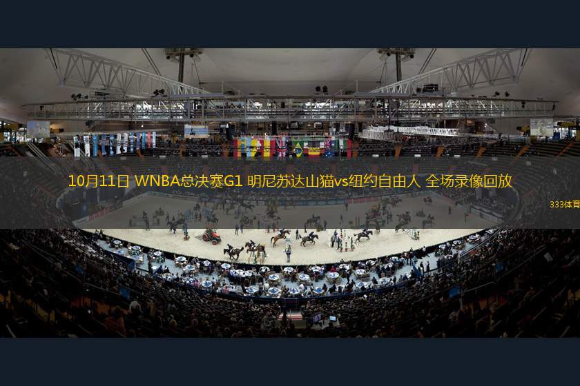 10月11日 WNBA總決賽G1 明尼蘇達(dá)山貓vs紐約自由人 全場錄像回放